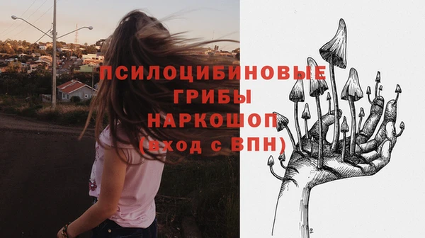 крисы Алзамай