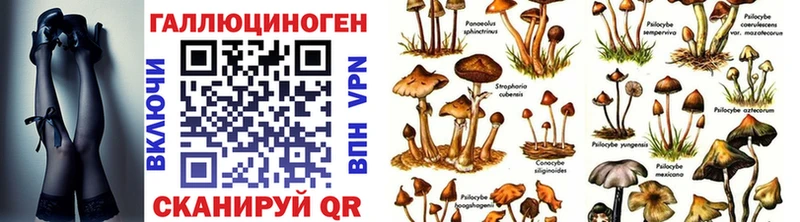 Псилоцибиновые грибы ЛСД  Ставрополь 