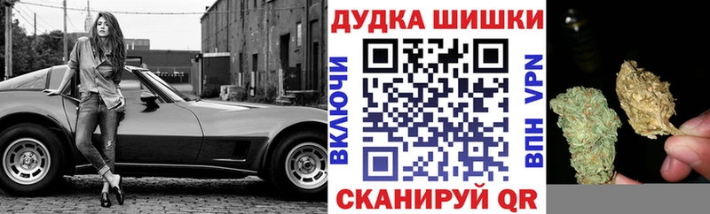 Марихуана план  продажа наркотиков  Ставрополь 